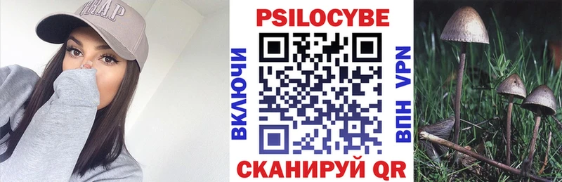 Галлюциногенные грибы прущие грибы купить наркотик kraken ТОР Шилка